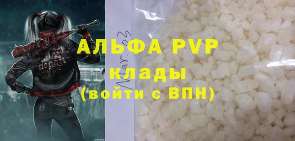 гидра Абаза