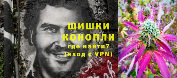ПСИЛОЦИБИНОВЫЕ ГРИБЫ Россошь