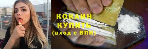 гидра Абаза
