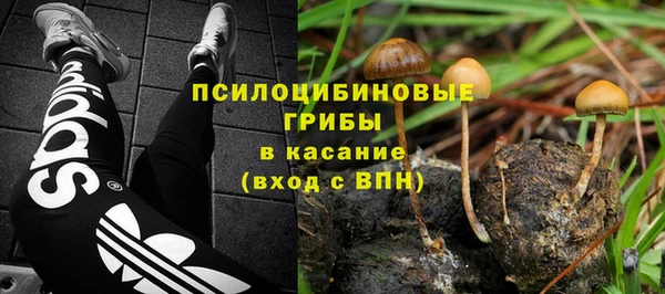 гидра Абаза