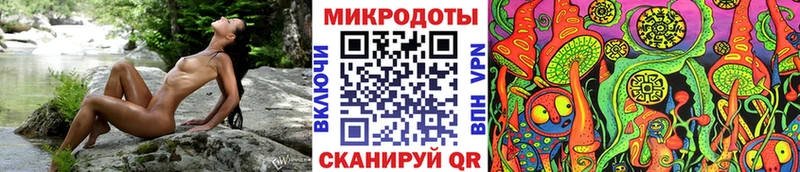 Псилоцибиновые грибы Psilocybine cubensis  закладка  kraken tor  Болотное 